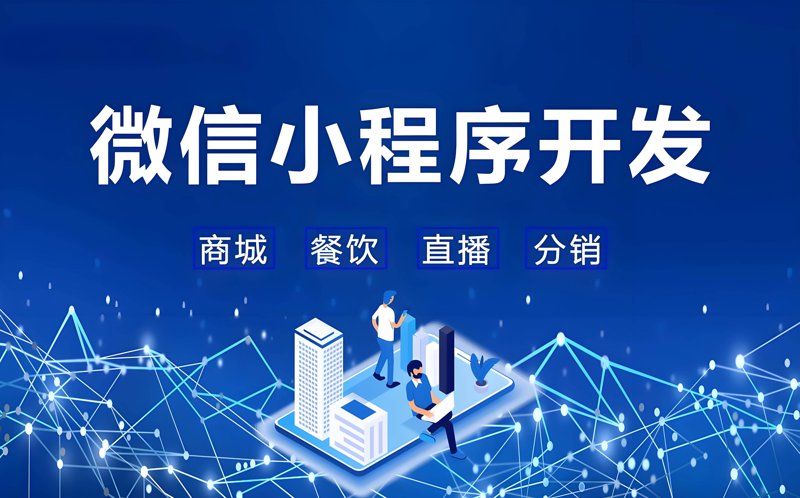 武汉软件开发公司的选择：深度剖析与对比